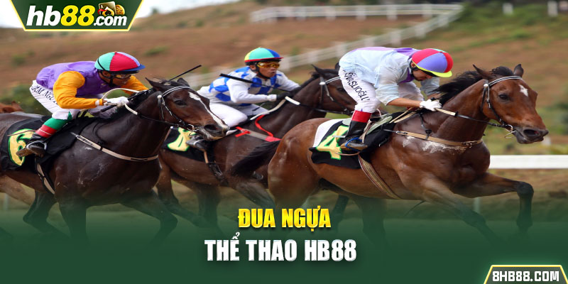 Đua ngựa thể thao HB88 