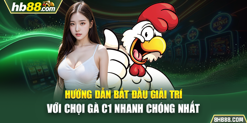 Hướng dẫn bắt đầu giải trí với chọi gà C1 nhanh chóng nhất