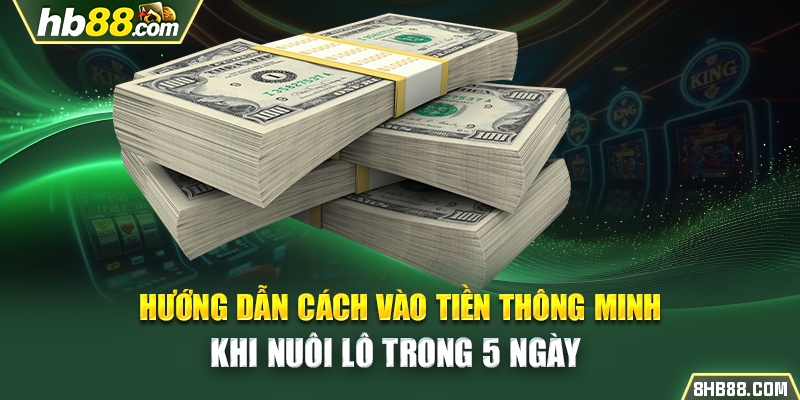 Hướng dẫn cách vào tiền thông minh khi nuôi lô trong 5 ngày 