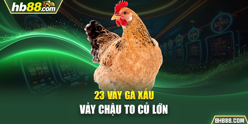 23 vảy gà xấu - Vảy chậu to củ lớn