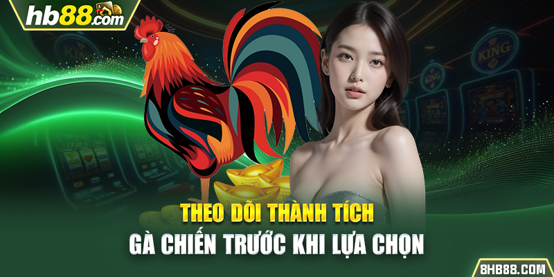  Theo dõi thành tích gà chiến trước khi lựa chọn