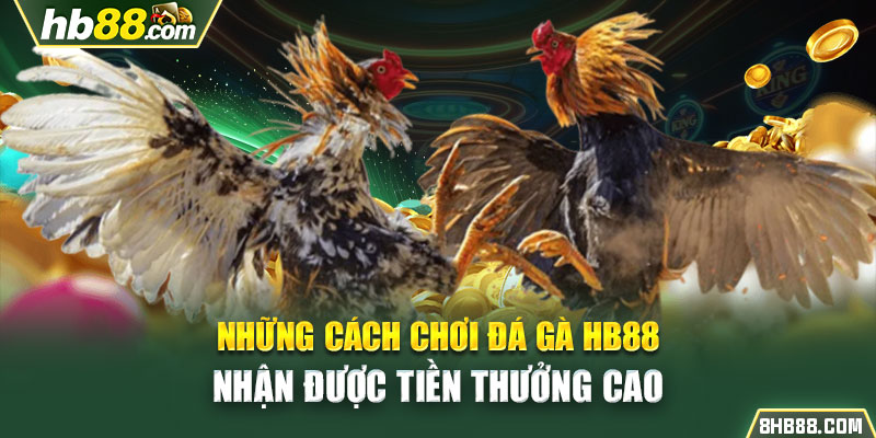 Những cách chơi đá gà HB88 nhận được tiền thưởng cao