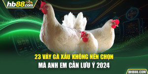 23 Vảy Gà Xấu Không Nên Chọn Mà Anh Em Cần Lưu Ý 2024