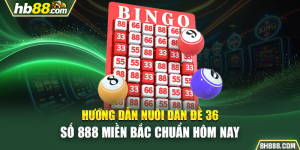 Hướng Dẫn Nuôi Dàn Đề 36 Số 888 Miền Bắc Chuẩn Hôm Nay